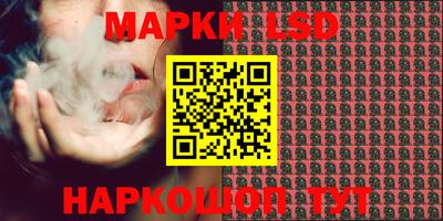гидра Будённовск