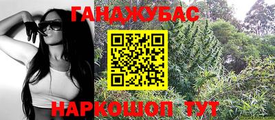 гидра Будённовск
