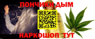 гидра Будённовск